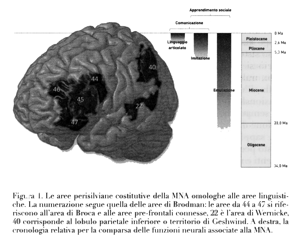 Ognuno di noi è circondato da 300mila oggetti di cui la maggior